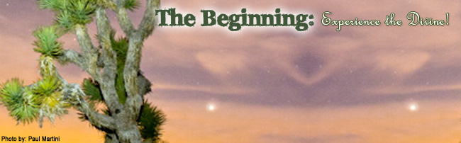 Joshua Tree Workshop: The Beginning, Mar 1, 2014
