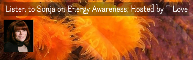 Sonja Grace Appears on Energy Awareness with T Love, 2-25-15
