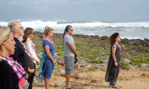 Hawaii Meditation